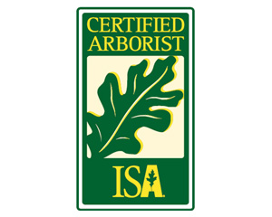 ISA